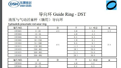 液壓與氣動(dòng)活塞桿（軸用）導(dǎo)向環(huán)
