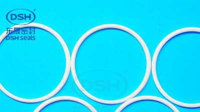 液壓缸中用的防塵密封圈