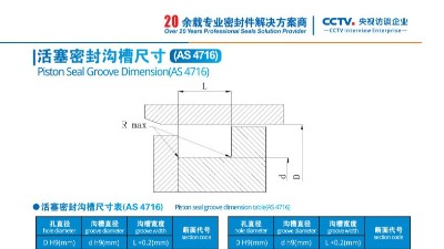 活塞密封溝槽尺寸4