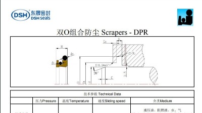 雙O組合防塵圈DPR規(guī)格尺寸表