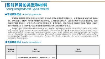 彈簧蓄能型密封圈特點(diǎn)