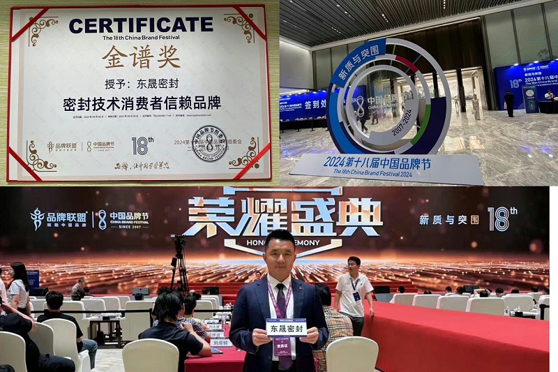 3東晟密封件閃耀2024第十八屆中國品牌節(jié)，榮獲密封技術(shù)“金譜獎”