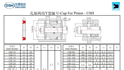 孔軸兩用Y型圈USH規(guī)格尺寸表