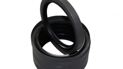 旋轉(zhuǎn)密封件（Rotary Shaft Seal）1