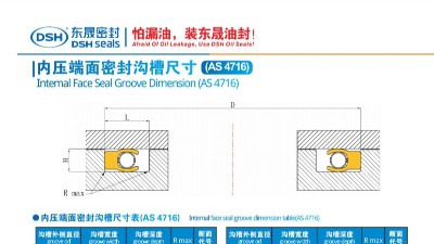 內(nèi)壓端面密封溝槽尺寸