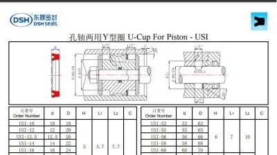 孔軸兩用Y型圈USI規(guī)格尺寸表