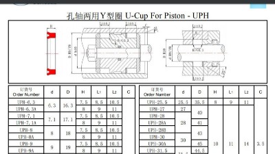 孔軸兩用Y型圈UPH