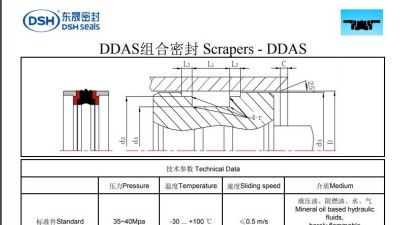 DDAS組合密封規(guī)格尺寸表