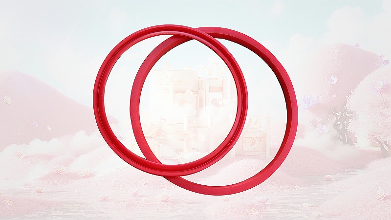 車(chē)削密封圈耐磨環(huán)產(chǎn)品