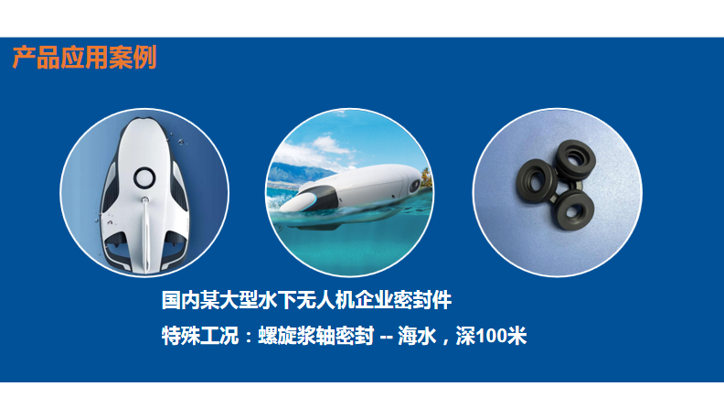 海水密封圈B型油封密封圈應用于潛水電機