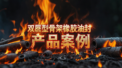 雙唇型骨架橡膠油封產(chǎn)品案例丨軸用密封大揭秘！高溫200℃下，憑啥成“防漏王者”？?