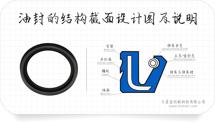 油封的外緣部4種泄漏方式及9條原因分析匯報！油封的唇口10種泄漏原因及26條分析結(jié)果表！
