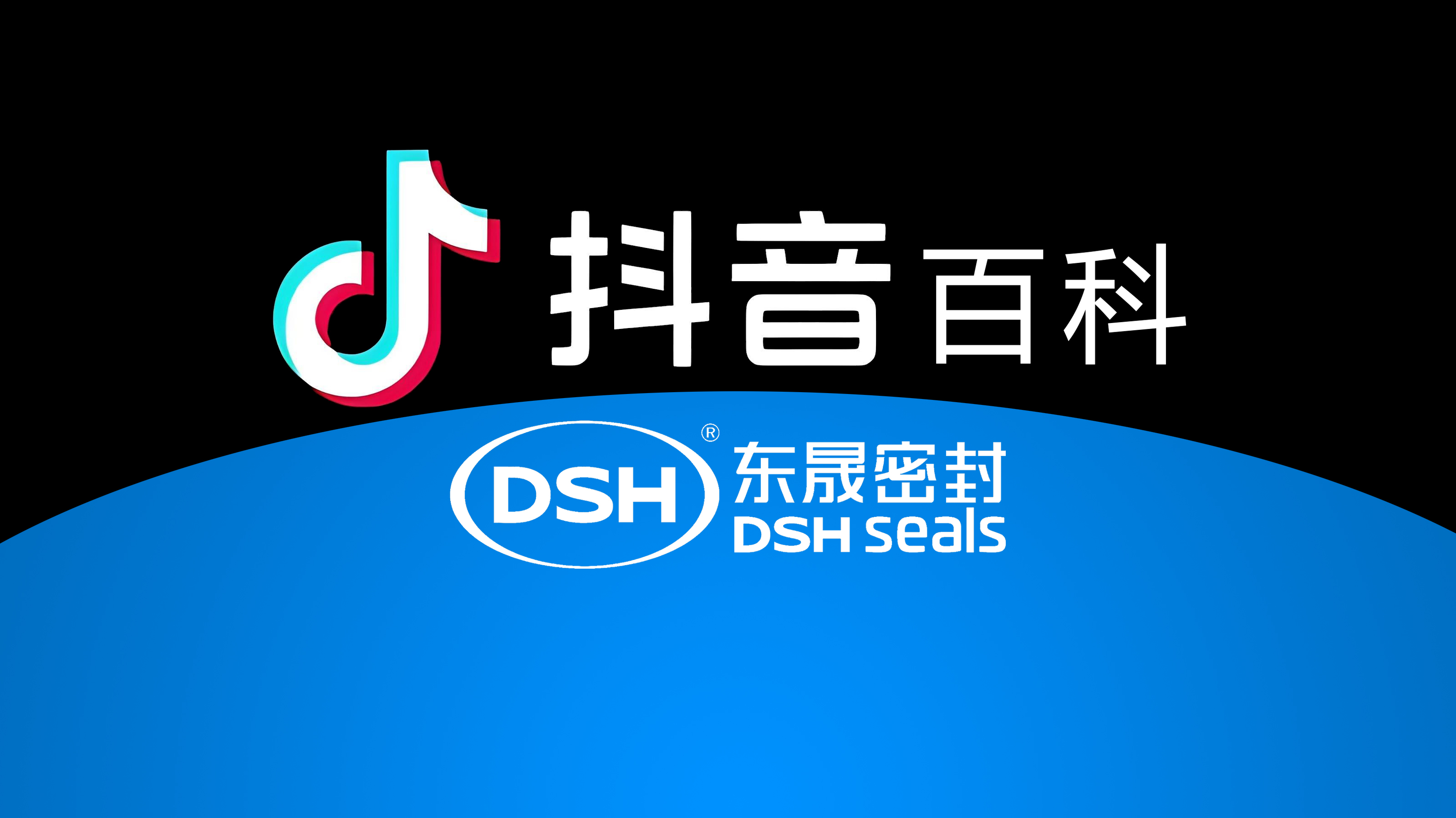 權(quán)威解讀，東晟密封件官方百科閃耀<i style='color:red'>抖音</i>！