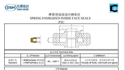 新版彈簧增強(qiáng)端面內(nèi)側(cè)密封