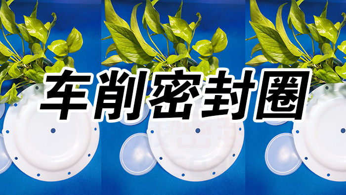 2車削密封圈，氣動隔膜泵膜片密封件