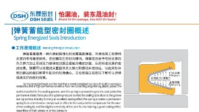 泛塞封唇型密封圈彈簧蓄能型密封圈概述