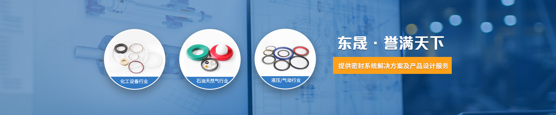 東晟密封-提供密封系統(tǒng)解決方案及產(chǎn)品設(shè)計(jì)服務(wù)