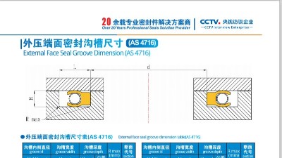 外壓端面密封溝槽尺寸