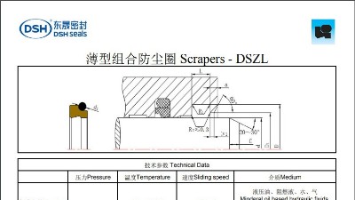 薄型組合防塵圈DSZL規(guī)格尺寸表